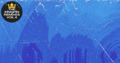 Macapella & Hus KingPin - The Kingpin Remixes Volume 4