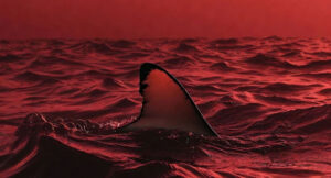 Skyhigh Music - Sharks Dont Sleep 3