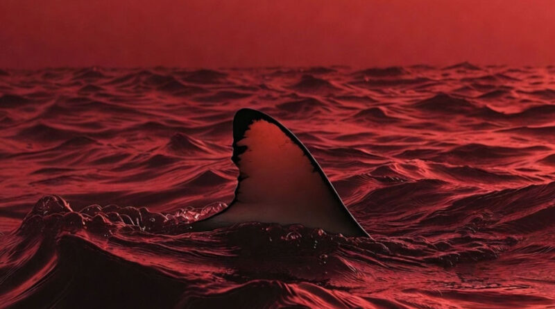 Skyhigh Music - Sharks Dont Sleep 3