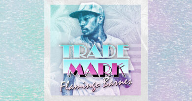 Trademark Da Skydiver - Flamingo Barnes