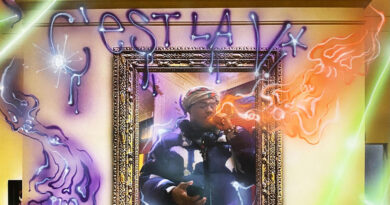 VIP Skylark & sam rubin - C'EST LA VI