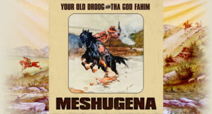 Your Old Droog & Tha God Fahim - MESHUGENA