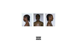 nine vicious - EMOTIONS