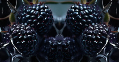 SHARP. - The Blacker The Berry