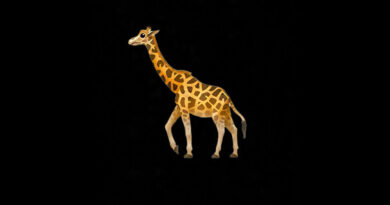 2slimey - Giraffes