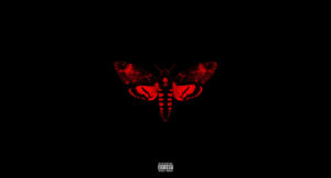 Lil Wayne - I Am Not A Human Being II