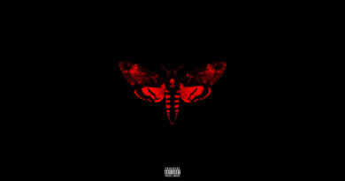 Lil Wayne - I Am Not A Human Being II
