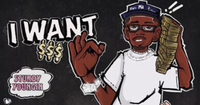 Sturdyyoungin - I WANT $$$