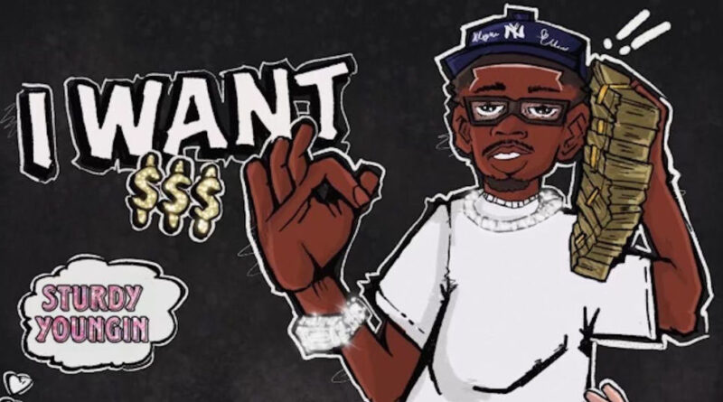 Sturdyyoungin - I WANT $$$