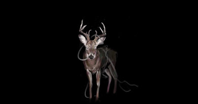 Token - Bambi