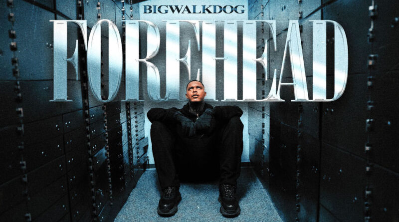 BigWalkDog - Forehead