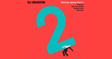 DJ Shadow - Nobody Speak Part 2