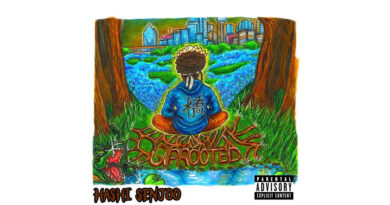 Hashi Senjoo - Uprooted