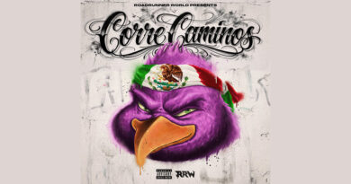 RoadRun CMoe - Correcaminos