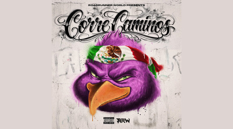 RoadRun CMoe - Correcaminos