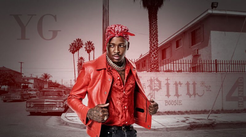 YG