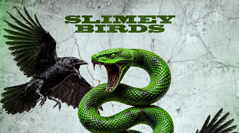AMG Twinz - Slimey Birds
