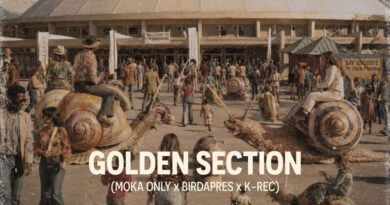 Golden Section (Moka Only, Birdapres & K-Rec - Welcome To The Agrodome