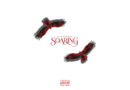 Lil Righteous - Soaring