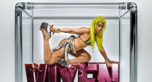 Sunnitharapper - Vixen