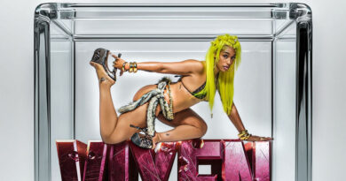 Sunnitharapper - Vixen