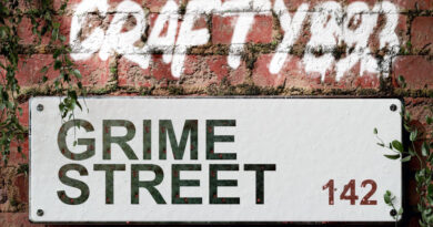 Crafty 893 - 142 Grime Street