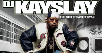 DJ Kay Slay - The Streetsweeper Vol. 2 - The Pain From The Game