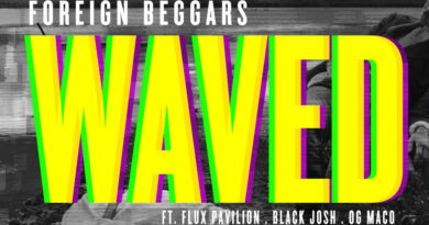 Foreign Beggars - Waved