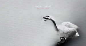 Goosebytheway - Nature Boy