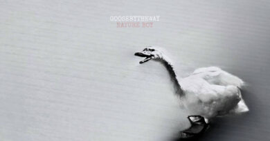 Goosebytheway - Nature Boy
