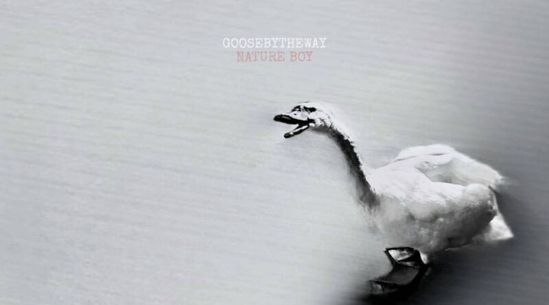 Goosebytheway - Nature Boy