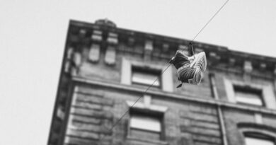 Apollo Brown & Skyzoo - The Easy Truth