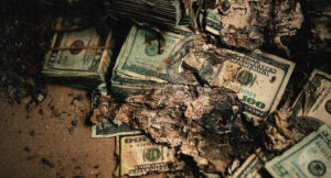 Berner - Profit & Pain