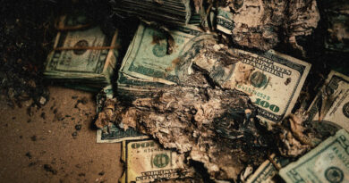 Berner - Profit & Pain