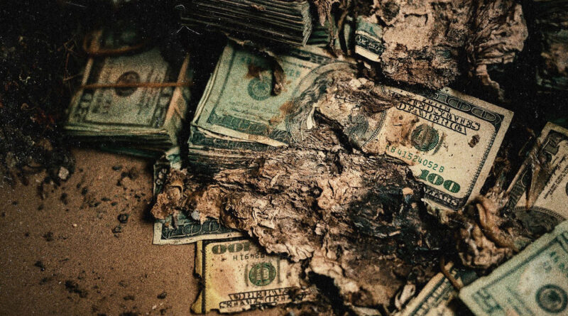 Berner - Profit & Pain