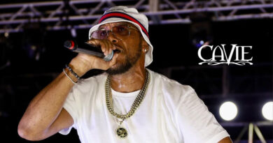 Cavie - The Art Form