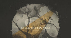 L'Orange - After the Flowers