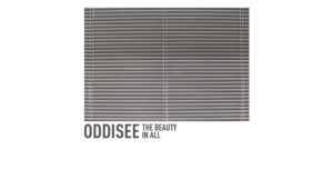 Oddisee - The Beauty In All