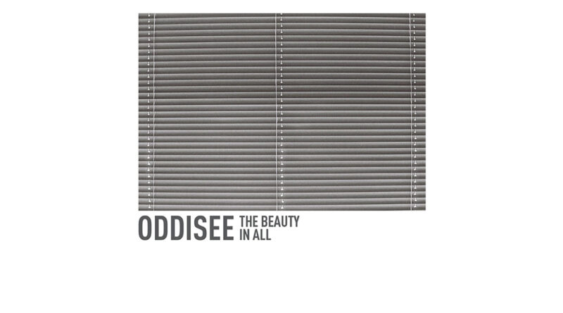 Oddisee - The Beauty In All