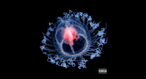 The 17th Cipher & Knowledge Da Nerd - Prolific Immortality