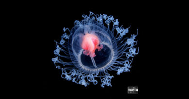 The 17th Cipher & Knowledge Da Nerd - Prolific Immortality