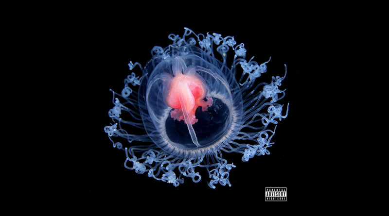 The 17th Cipher & Knowledge Da Nerd - Prolific Immortality