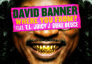 David Banner - Where You From