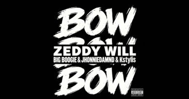 ZEDDY WILL - Bow Bow Bow (Remix)